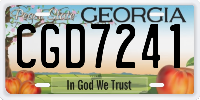 GA license plate CGD7241