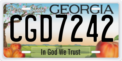 GA license plate CGD7242