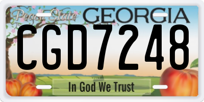 GA license plate CGD7248