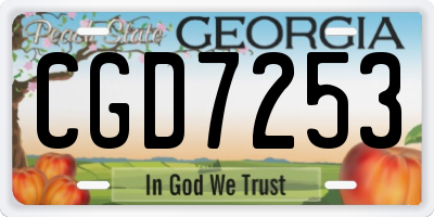GA license plate CGD7253