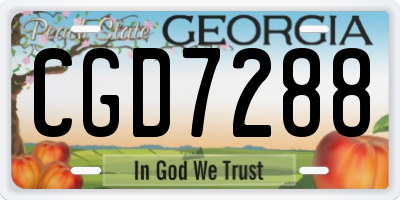 GA license plate CGD7288