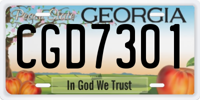 GA license plate CGD7301