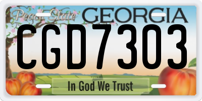 GA license plate CGD7303
