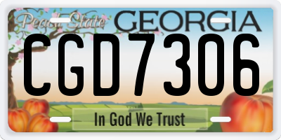 GA license plate CGD7306