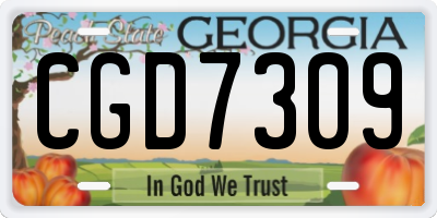 GA license plate CGD7309