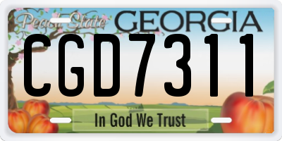 GA license plate CGD7311