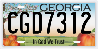 GA license plate CGD7312