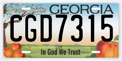 GA license plate CGD7315