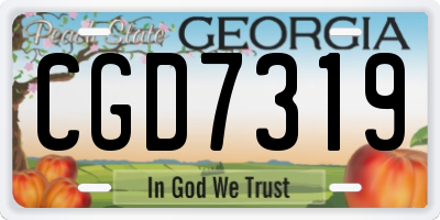 GA license plate CGD7319