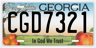 GA license plate CGD7321