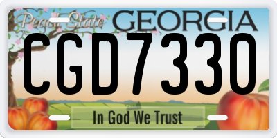 GA license plate CGD7330