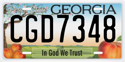 GA license plate CGD7348