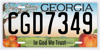 GA license plate CGD7349