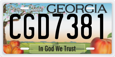 GA license plate CGD7381