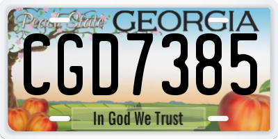 GA license plate CGD7385