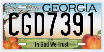 GA license plate CGD7391