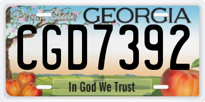 GA license plate CGD7392