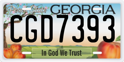 GA license plate CGD7393