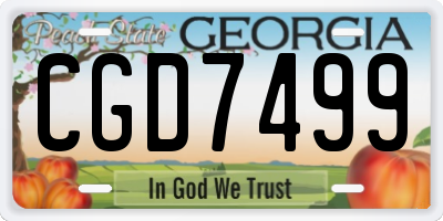 GA license plate CGD7499