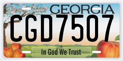 GA license plate CGD7507
