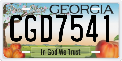 GA license plate CGD7541