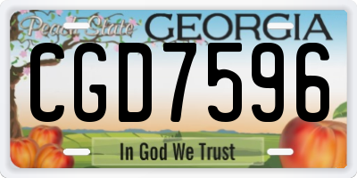 GA license plate CGD7596