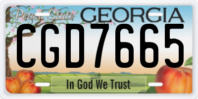 GA license plate CGD7665