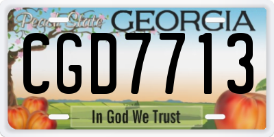 GA license plate CGD7713