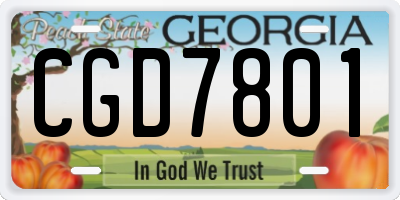 GA license plate CGD7801