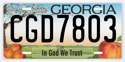 GA license plate CGD7803
