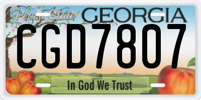 GA license plate CGD7807