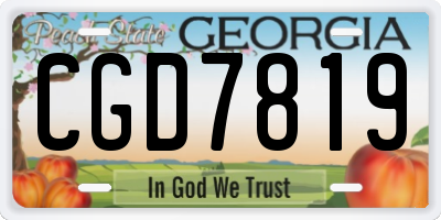 GA license plate CGD7819
