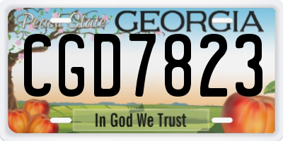 GA license plate CGD7823