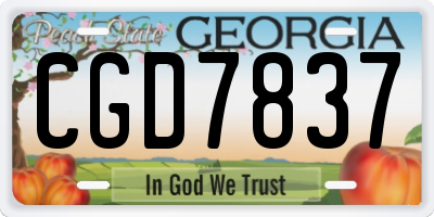 GA license plate CGD7837