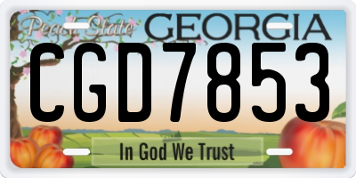 GA license plate CGD7853