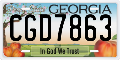 GA license plate CGD7863