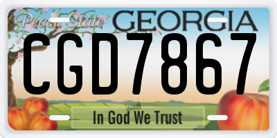 GA license plate CGD7867