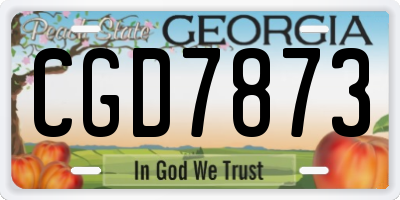 GA license plate CGD7873