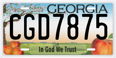 GA license plate CGD7875