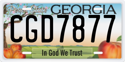 GA license plate CGD7877
