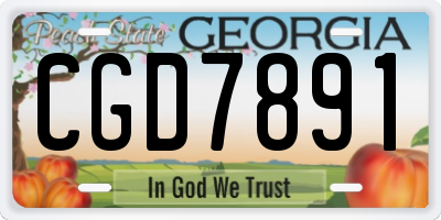 GA license plate CGD7891