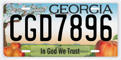 GA license plate CGD7896