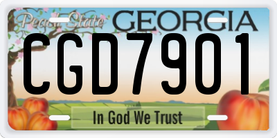 GA license plate CGD7901