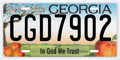 GA license plate CGD7902