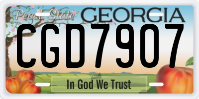 GA license plate CGD7907