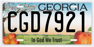GA license plate CGD7921