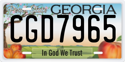 GA license plate CGD7965