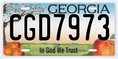 GA license plate CGD7973