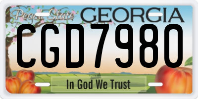 GA license plate CGD7980