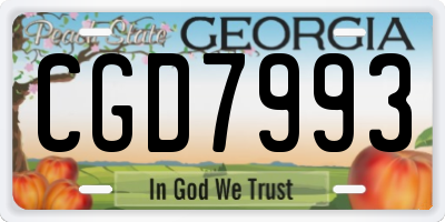 GA license plate CGD7993